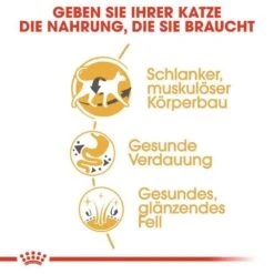 Royal Canin Siamese Adult Katzenfutter Trocken -Haustier Alles Verkaufsgeschäft 0055292 royal canin siamese adult katzenfutter trocken