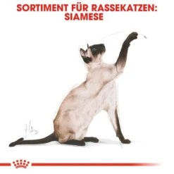 Royal Canin Siamese Adult Katzenfutter Trocken -Haustier Alles Verkaufsgeschäft 0055295 royal canin siamese adult katzenfutter trocken