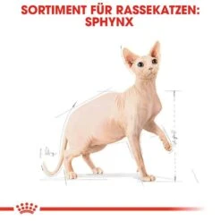 Royal Canin Sphynx Adult Katzenfutter Trocken 12 Royal Canin Sphynx Adult Katzenfutter Trocken -Haustier Alles Verkaufsgeschäft 0055297 royal canin sphynx adult katzenfutter trocken
