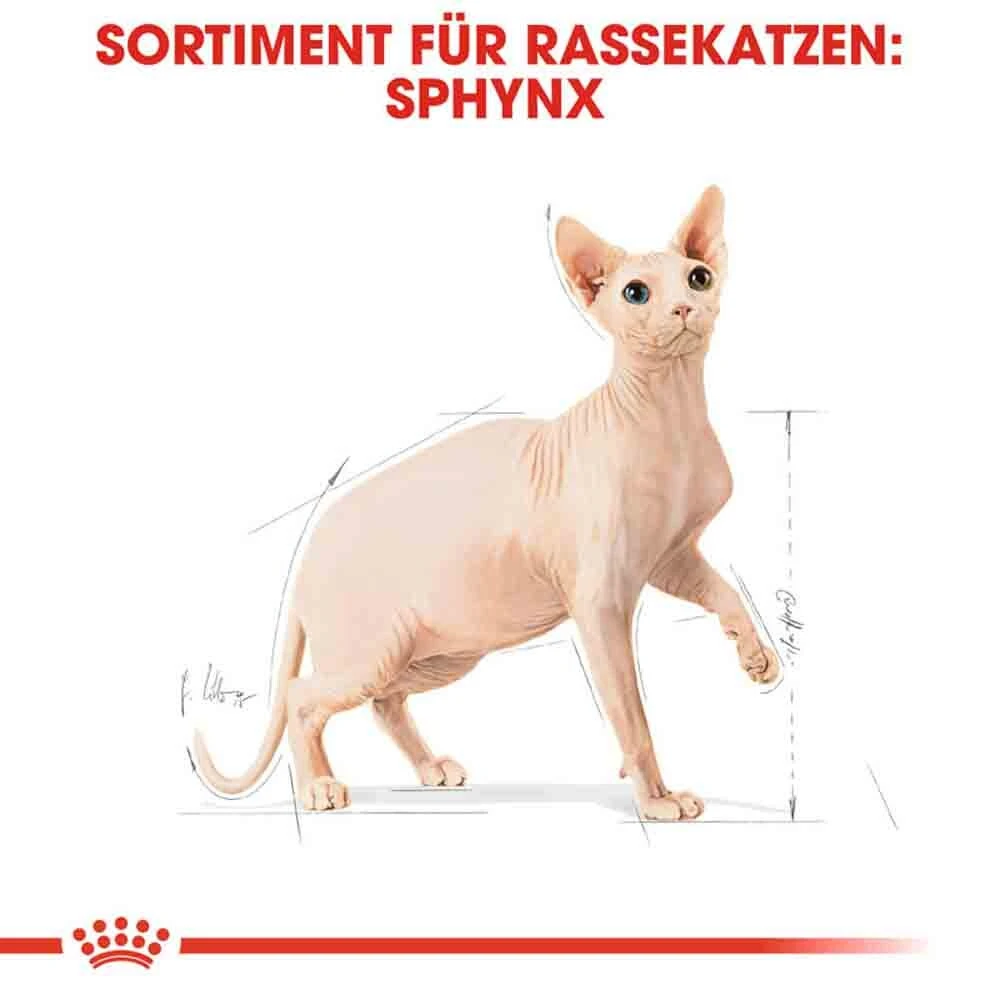Royal Canin Sphynx Adult Katzenfutter Trocken 5 Royal Canin Sphynx Adult Katzenfutter Trocken – Bild 3
