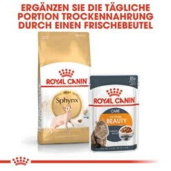 Royal Canin Sphynx Adult Katzenfutter Trocken 16 Royal Canin Sphynx Adult Katzenfutter Trocken -Haustier Alles Verkaufsgeschäft 0055298 royal canin sphynx adult katzenfutter trocken