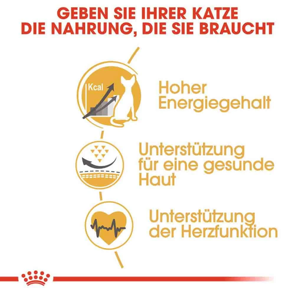 Royal Canin Sphynx Adult Katzenfutter Trocken 6 Royal Canin Sphynx Adult Katzenfutter Trocken – Bild 4