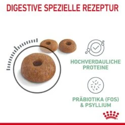 Royal Canin Digestive Care Trockennahrung Für Katzen Mit Empfindlicher Verdauung -Haustier Alles Verkaufsgeschäft 0055333 royal canin digestive care trockennahrung fur katzen mit empfindlicher verdauung