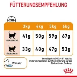 Royal Canin Hair & Skin Care Katzennahrung Trocken Für Gesundes Fell -Haustier Alles Verkaufsgeschäft 0055340 royal canin hair skin care katzennahrung trocken fur gesundes fell