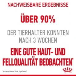 Royal Canin Hair & Skin Care Katzennahrung Trocken Für Gesundes Fell -Haustier Alles Verkaufsgeschäft 0055342 royal canin hair skin care katzennahrung trocken fur gesundes fell