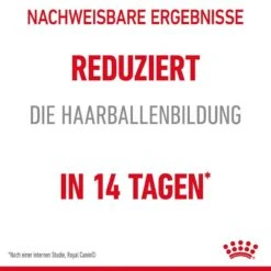 Royal Canin Hairball Care Katzennahrung Trocken Gegen Haarballenbildung -Haustier Alles Verkaufsgeschäft 0055344 royal canin hairball care katzennahrung trocken gegen haarballenbildung