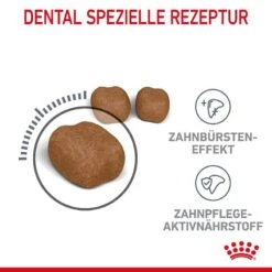 Royal Canin Dental Care Katzennahrung Trocken Für Gesunde Zähne (ORAL CARE) -Haustier Alles Verkaufsgeschäft 0055359 royal canin dental care katzennahrung trocken fur gesunde zahne oral care