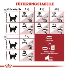 Royal Canin Fit Trockenfutter Für Aktive Katzen 13 Royal Canin Fit Trockenfutter Für Aktive Katzen -Haustier Alles Verkaufsgeschäft 0055419 royal canin fit trockenfutter fur aktive katzen