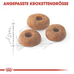 Royal Canin Fit Trockenfutter Für Aktive Katzen 12 Royal Canin Fit Trockenfutter Für Aktive Katzen -Haustier Alles Verkaufsgeschäft 0055421 royal canin fit trockenfutter fur aktive katzen