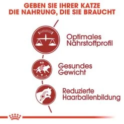 Royal Canin Fit Trockenfutter Für Aktive Katzen 11 Royal Canin Fit Trockenfutter Für Aktive Katzen -Haustier Alles Verkaufsgeschäft 0055425 royal canin fit trockenfutter fur aktive katzen