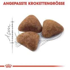 Royal Canin Indoor 27 Trockenfutter Für Wohnungskatzen -Haustier Alles Verkaufsgeschäft 0055442 royal canin indoor 27 trockenfutter fur wohnungskatzen