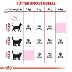 Royal Canin Savour Exigent Trockenfutter Für Wählerische Katzen -Haustier Alles Verkaufsgeschäft 0055461 royal canin savour exigent trockenfutter fur wahlerische katzen