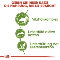 Royal Canin Outdoor 7+ Katzenfutter Trocken Für ältere Freigänger 13 Royal Canin Outdoor 7+ Katzenfutter Trocken Für ältere Freigänger -Haustier Alles Verkaufsgeschäft 0055473 royal canin outdoor 7 katzenfutter trocken fur altere freiganger