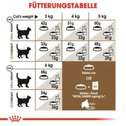 Royal Canin Ageing 12+ Trockenfutter Für ältere Katzen -Haustier Alles Verkaufsgeschäft 0055482 royal canin ageing 12 trockenfutter fur altere katzen