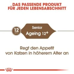 Royal Canin Ageing 12+ Trockenfutter Für ältere Katzen -Haustier Alles Verkaufsgeschäft 0055483 royal canin ageing 12 trockenfutter fur altere katzen