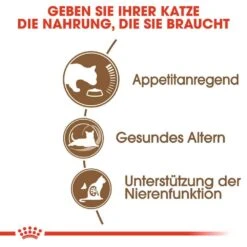 Royal Canin Ageing 12+ Trockenfutter Für ältere Katzen -Haustier Alles Verkaufsgeschäft 0055484 royal canin ageing 12 trockenfutter fur altere katzen