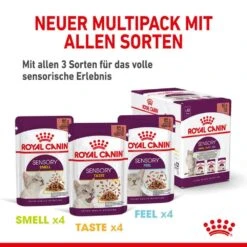 Royal Canin Sensory Smell Taste Feel Nassfutter Multipack In Soße Für Wählerische Katzen -Haustier Alles Verkaufsgeschäft 0055596 royal canin sensory smell taste feel nassfutter multipack in sose fur wahlerische katzen
