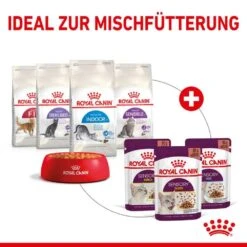 Royal Canin Sensory Smell Taste Feel Nassfutter Multipack In Soße Für Wählerische Katzen -Haustier Alles Verkaufsgeschäft 0055600 royal canin sensory smell taste feel nassfutter multipack in sose fur wahlerische katzen