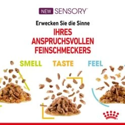 Royal Canin Sensory Smell Taste Feel Nassfutter Multipack In Soße Für Wählerische Katzen -Haustier Alles Verkaufsgeschäft 0055601 royal canin sensory smell taste feel nassfutter multipack in sose fur wahlerische katzen