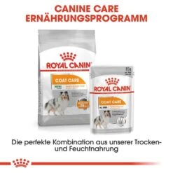 Royal Canin Coat Care Mini Trockenfutter Für Kleine Hunde Für Glänzendes Fell -Haustier Alles Verkaufsgeschäft 0055873 royal canin coat care mini trockenfutter fur kleine hunde fur glanzendes fell