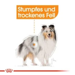 Royal Canin Coat Care Mini Trockenfutter Für Kleine Hunde Für Glänzendes Fell -Haustier Alles Verkaufsgeschäft 0055876 royal canin coat care mini trockenfutter fur kleine hunde fur glanzendes fell