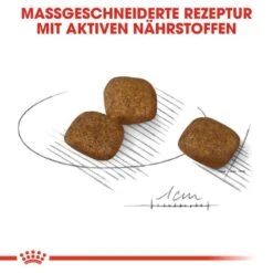 Royal Canin Coat Care Mini Trockenfutter Für Kleine Hunde Für Glänzendes Fell -Haustier Alles Verkaufsgeschäft 0055880 royal canin coat care mini trockenfutter fur kleine hunde fur glanzendes fell