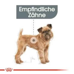 Royal Canin Dental Care Mini Trockenfutter Für Kleine Hunde Mit Empfindlichen Zähnen -Haustier Alles Verkaufsgeschäft 0055882 royal canin dental care mini trockenfutter fur kleine hunde mit empfindlichen zahnen