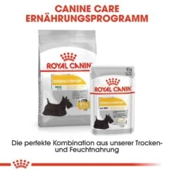 Royal Canin Dermacomfort Mini Trockenfutter Für Kleine Hunde Mit Empfindlicher Haut -Haustier Alles Verkaufsgeschäft 0055888 royal canin dermacomfort mini trockenfutter fur kleine hunde mit empfindlicher haut