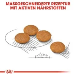 Royal Canin Dermacomfort Mini Trockenfutter Für Kleine Hunde Mit Empfindlicher Haut -Haustier Alles Verkaufsgeschäft 0055889 royal canin dermacomfort mini trockenfutter fur kleine hunde mit empfindlicher haut