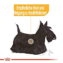 Royal Canin Dermacomfort Mini Trockenfutter Für Kleine Hunde Mit Empfindlicher Haut -Haustier Alles Verkaufsgeschäft 0055890 royal canin dermacomfort mini trockenfutter fur kleine hunde mit empfindlicher haut