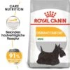 Royal Canin Dermacomfort Mini Trockenfutter Für Kleine Hunde Mit Empfindlicher Haut -Haustier Alles Verkaufsgeschäft 0055891 royal canin dermacomfort mini trockenfutter fur kleine hunde mit empfindlicher haut