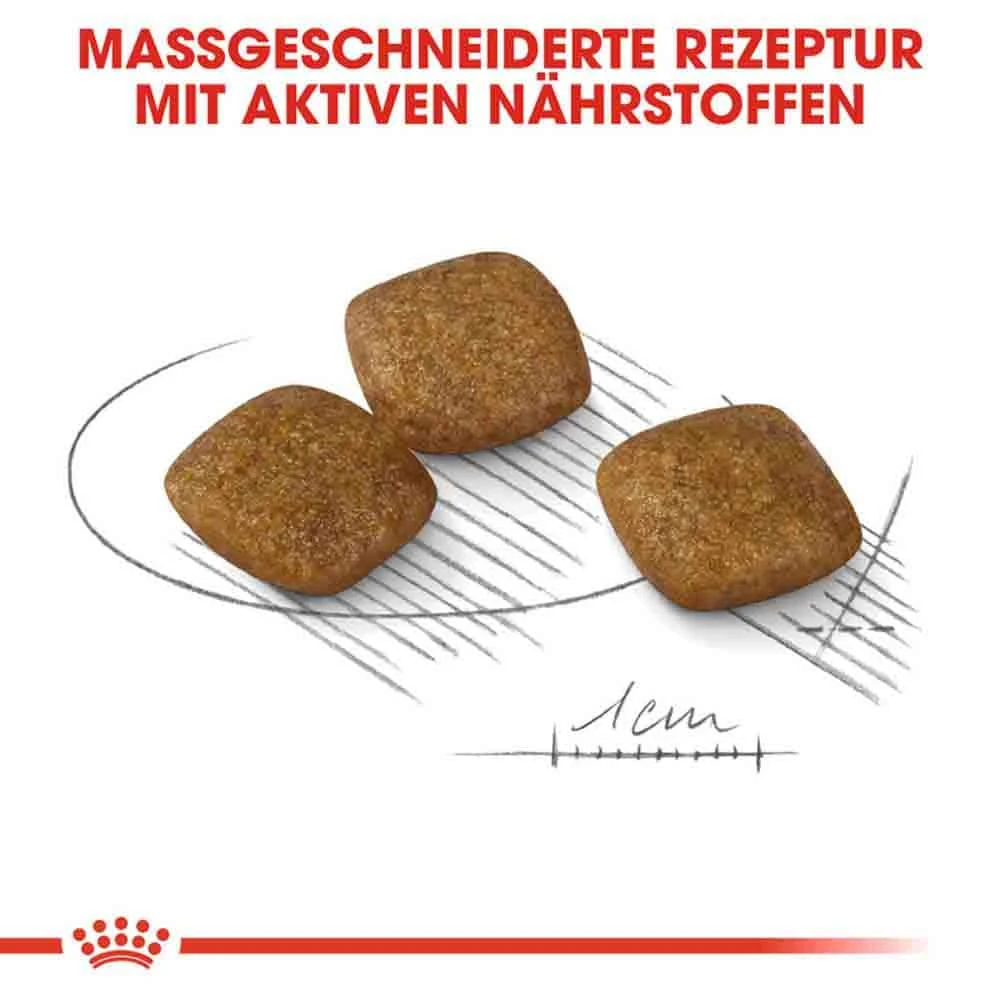 Royal Canin Relax Care Mini Trockenfutter Für Kleine Hunde In Unruhigem Umfeld 7 Royal Canin Relax Care Mini Trockenfutter Für Kleine Hunde In Unruhigem Umfeld – Bild 5