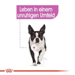 Royal Canin Relax Care Mini Trockenfutter Für Kleine Hunde In Unruhigem Umfeld 12 Royal Canin Relax Care Mini Trockenfutter Für Kleine Hunde In Unruhigem Umfeld -Haustier Alles Verkaufsgeschäft 0055907 royal canin relax care mini trockenfutter fur kleine hunde in unruhigem umfeld