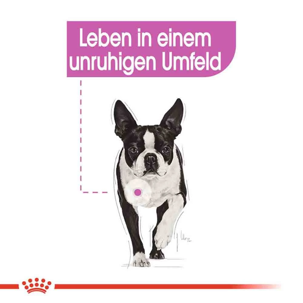 Royal Canin Relax Care Mini Trockenfutter Für Kleine Hunde In Unruhigem Umfeld 5 Royal Canin Relax Care Mini Trockenfutter Für Kleine Hunde In Unruhigem Umfeld – Bild 3