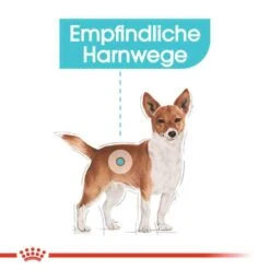 Royal Canin Urinary Care Mini Trockenfutter Für Kleine Hunde Mit Empfindlichen Harnwegen -Haustier Alles Verkaufsgeschäft 0055913 royal canin urinary care mini trockenfutter fur kleine hunde mit empfindlichen harnwegen