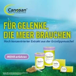 Boehringer Ingelheim Canosan Kautabletten Katze -Haustier Alles Verkaufsgeschäft 0055976 boehringer ingelheim canosan kautabletten katze
