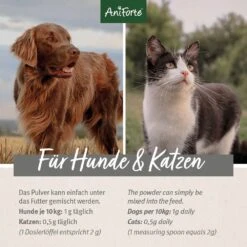 AniForte Afrikanische Teufelskralle -Haustier Alles Verkaufsgeschäft 0055989 aniforte afrikanische teufelskralle