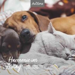 AniForte Bachblüten Gewitter & Silvester -Haustier Alles Verkaufsgeschäft 0056001 aniforte bachbluten gewitter silvester