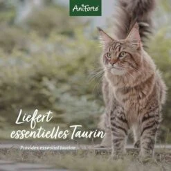 AniForte BARF Complete Cat 10 AniForte BARF Complete Cat -Haustier Alles Verkaufsgeschäft 0056012 aniforte barf complete cat