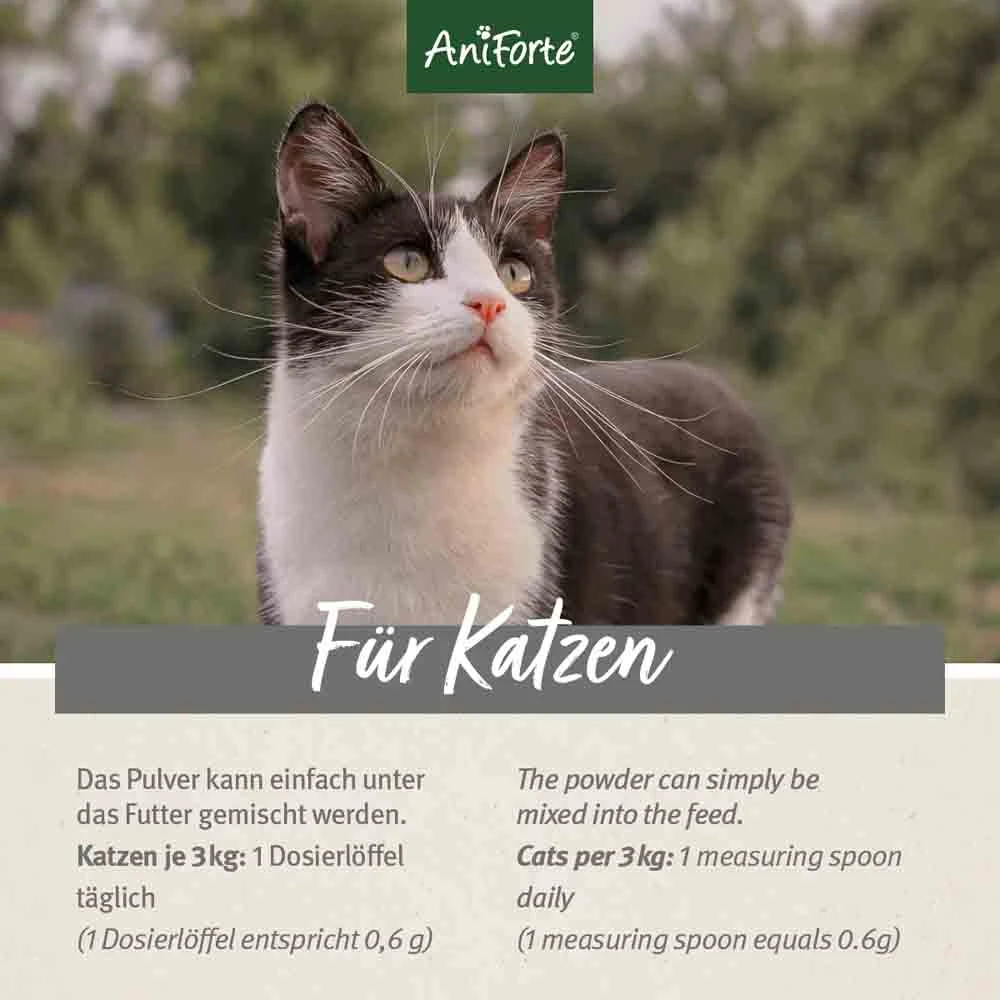 AniForte BARF Complete Cat 7 AniForte BARF Complete Cat – Bild 5