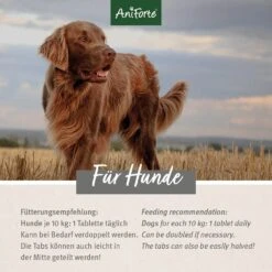 AniForte AgilityVET Gelenktabletten -Haustier Alles Verkaufsgeschäft 0056051 aniforte agilityvet gelenktabletten