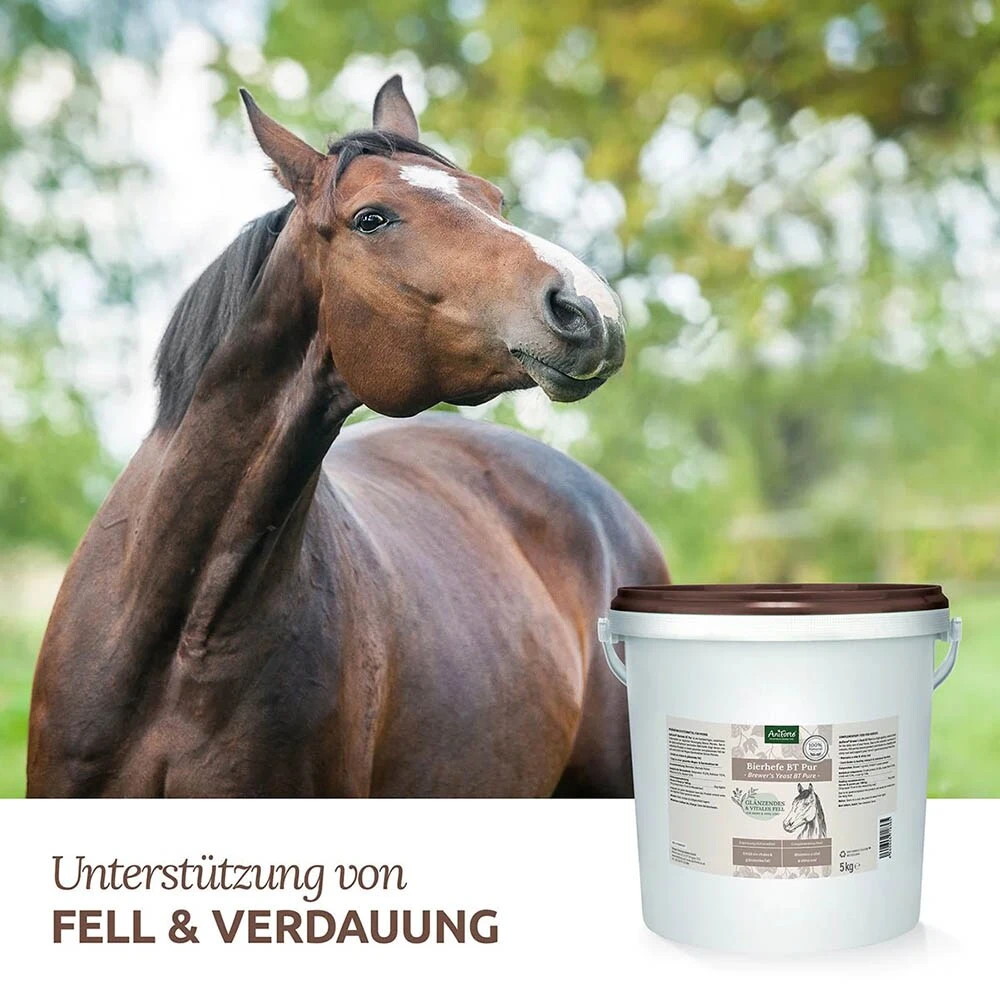 AniForte Bierhefe BT Pur 4 AniForte Bierhefe BT Pur – Bild 2
