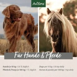 AniForte Bio Ägyptisches Schwarzkümmelöl -Haustier Alles Verkaufsgeschäft 0056126 aniforte bio agyptisches schwarzkummelol