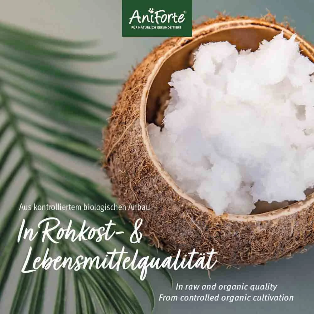 AniForte Bio Kokosöl 5 AniForte Bio Kokosöl – Bild 3