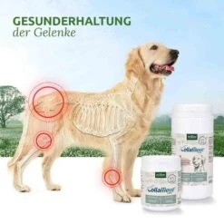 AniForte CollaMove Dog 10 AniForte CollaMove Dog -Haustier Alles Verkaufsgeschäft 0056143 aniforte collamove dog