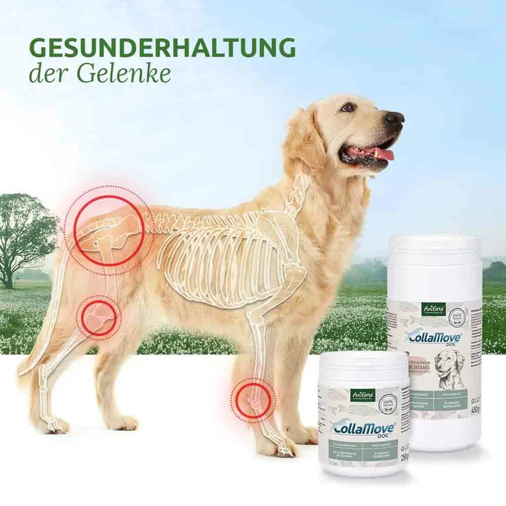 AniForte CollaMove Dog 6 AniForte CollaMove Dog – Bild 4
