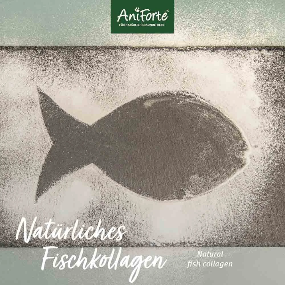 AniForte CollaMove Dog 7 AniForte CollaMove Dog – Bild 5