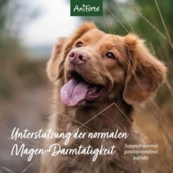AniForte Flohsamenschalen Für Hunde Und Katzen -Haustier Alles Verkaufsgeschäft 0056163 aniforte flohsamenschalen