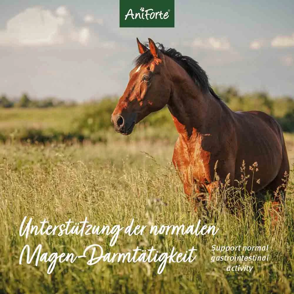AniForte Flohsamenschalen Für Pferde 6 AniForte Flohsamenschalen Für Pferde – Bild 4