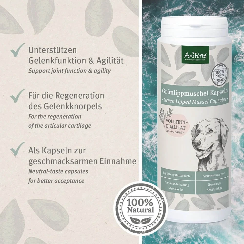 AniForte Grünlippmuschel Kapsel 5 AniForte Grünlippmuschel Kapsel – Bild 3